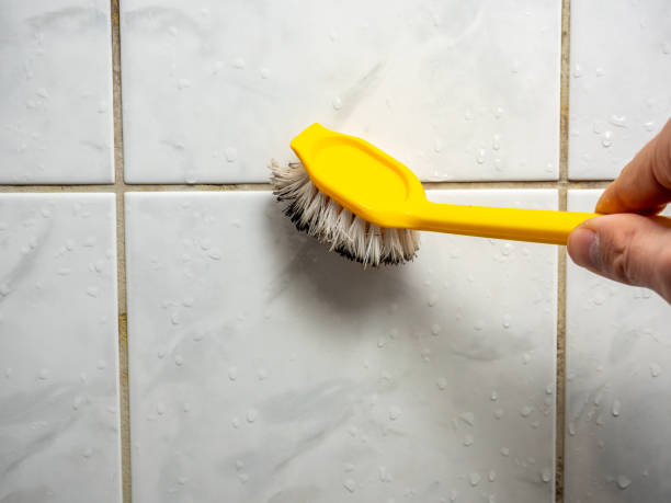 Reliable Millbury, OH Mold Remediation Solutions