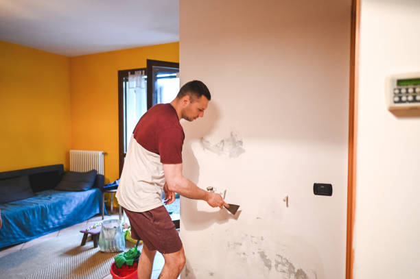 Best Localized Mold Remediation (e.g., coastal areas, humid climates) in Millbury, OH